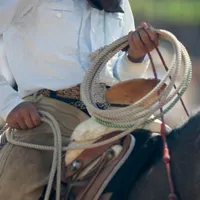 Apostas em vaquejada: dicas e mercados para a modalidade