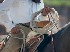 Apostas em vaquejada: dicas e mercados para a modalidade