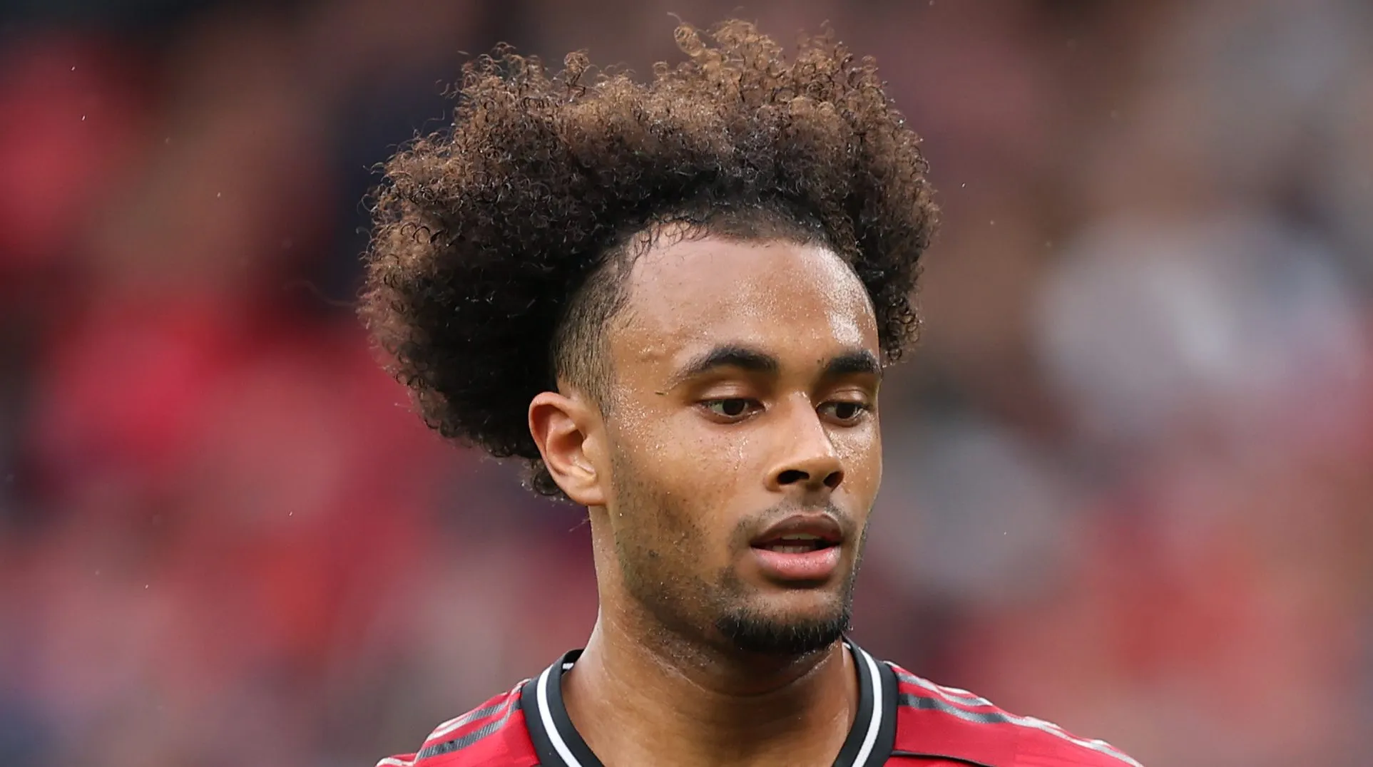 Zirkzee em campo com a camisa vermelha do Manchester United