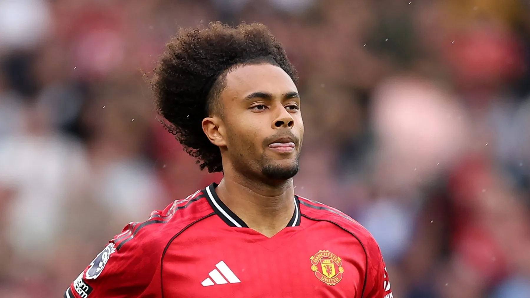 Zirkzee usando a camisa do Manchester United