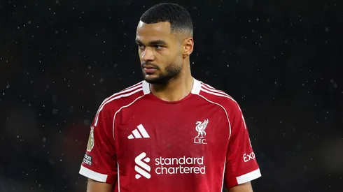 Bayern desiste de Yan Diomande e passa a avaliar investir em Cody Gakpo. Foto: Molly Darlington/Getty Images