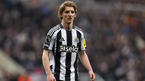 Anthony Gordon pode ser reforço do Liverpool. Foto: George Wood/Getty Images