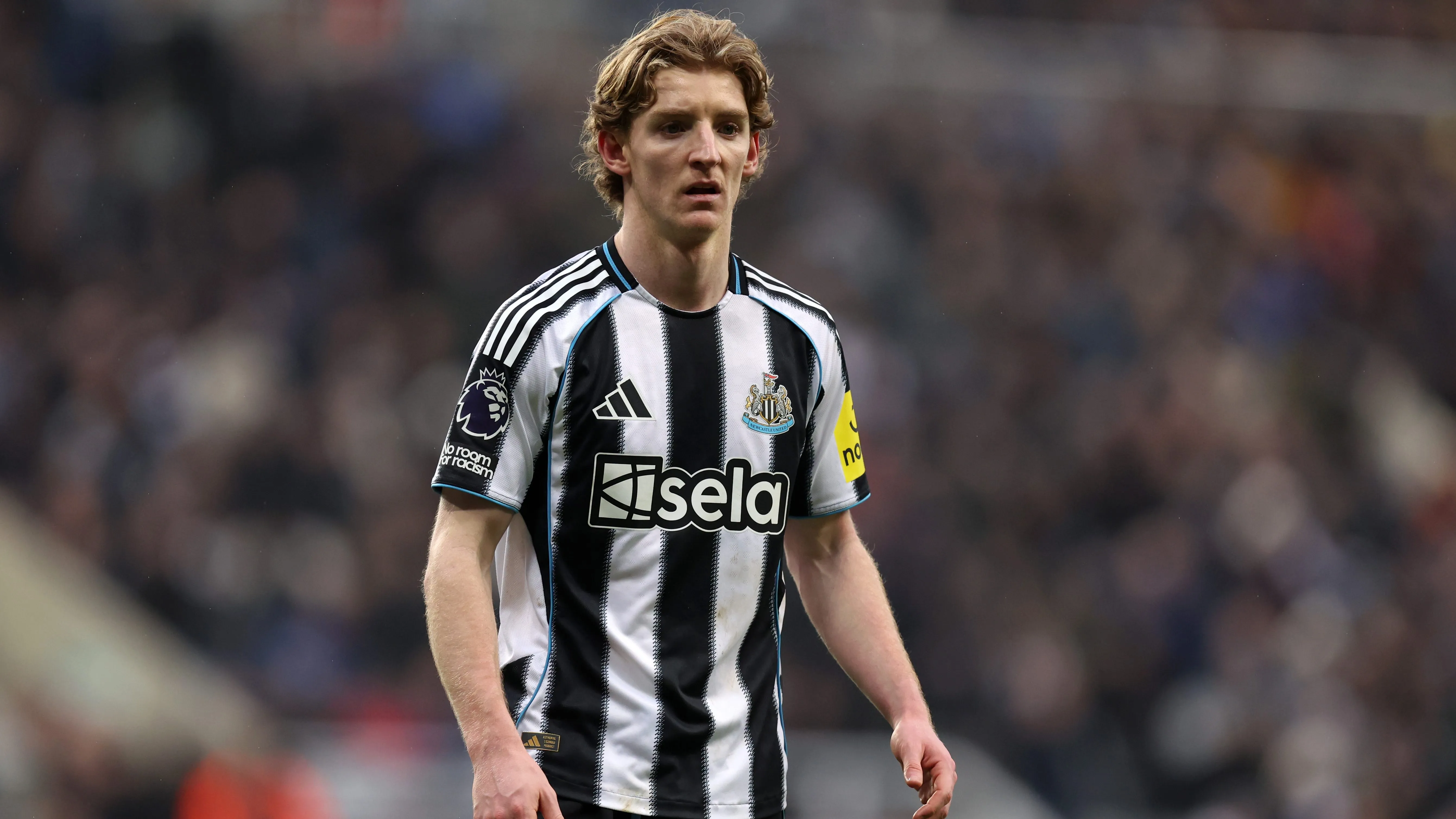 Anthony Gordon pode ser reforço do Liverpool. Foto: George Wood/Getty Images