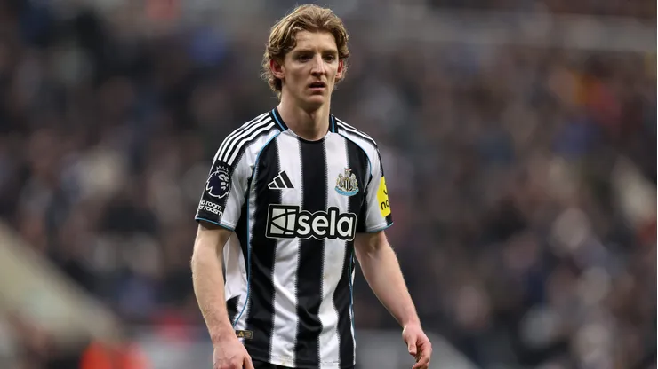 Anthony Gordon pode ser reforço do Manchester United. Foto: George Wood/Getty Images