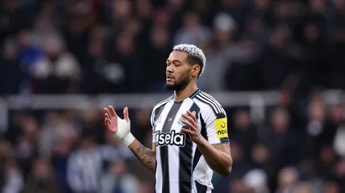 Joelinton se recuperou de lesão e reforça o Newcastle contra o Qarabag
