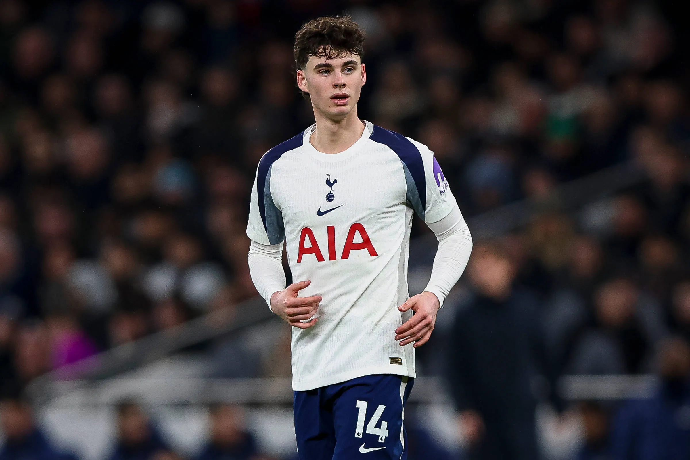 Archie Gray, grande jogador do Tottenham, pode substituir Camavinga no Real Madrid caso ele saia. Foto: IMAGO /&nbsp; Every Second Media