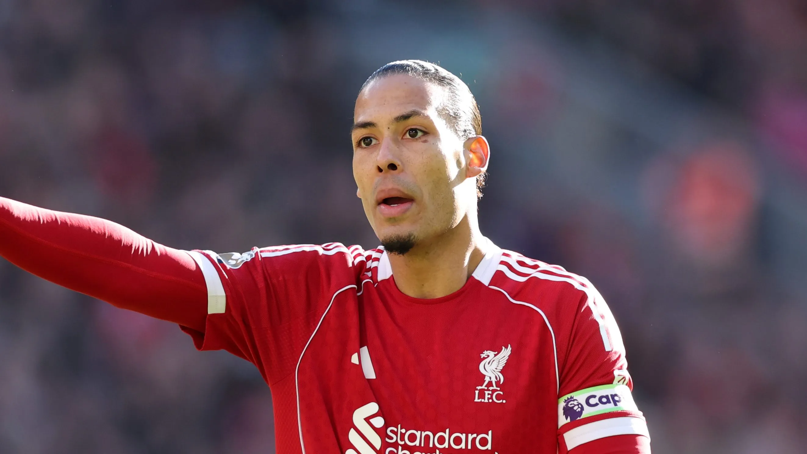 Virgil van Dijk, ídolo do Liverpool (Photo by Dan Mullan/Getty Images)