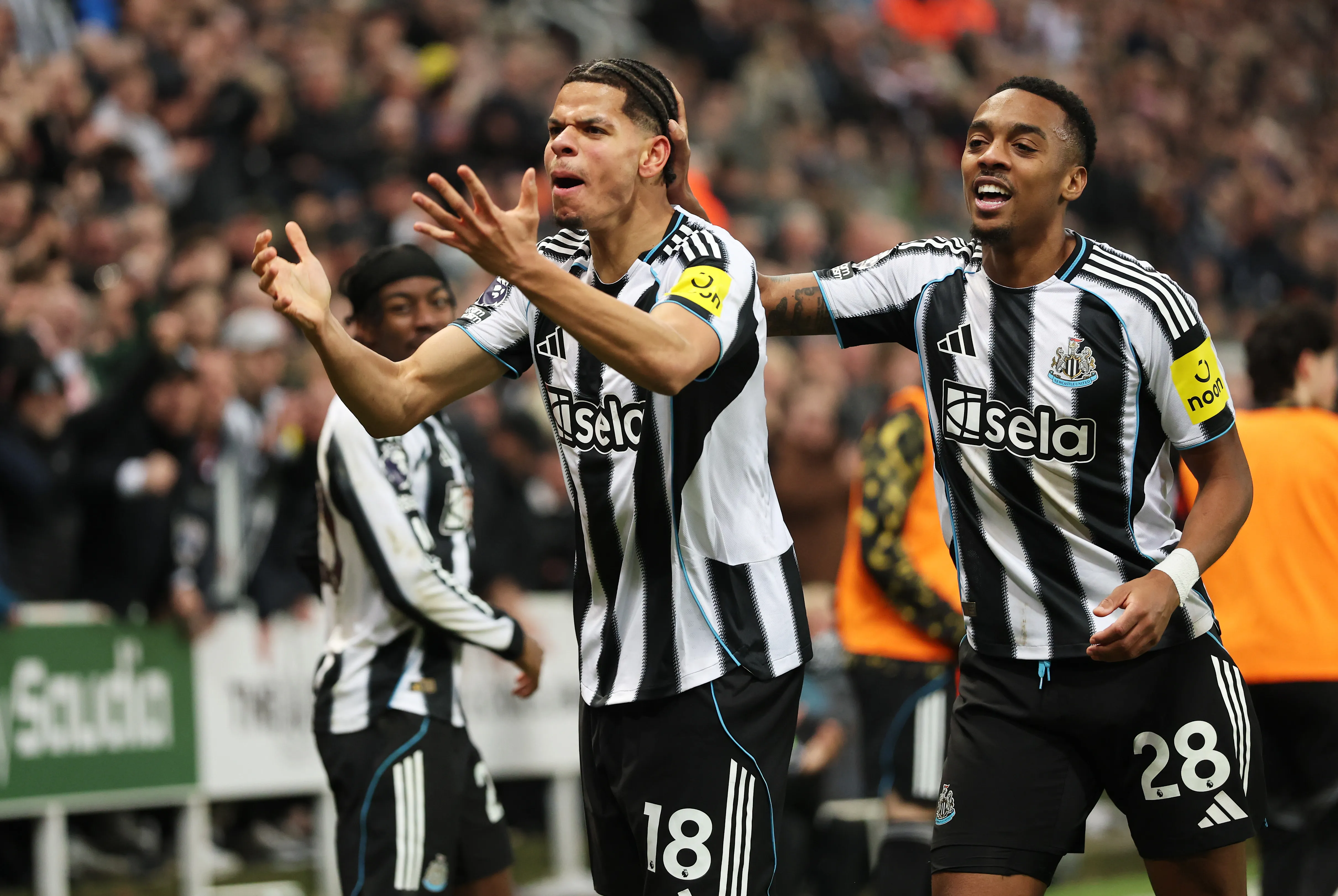William Osula vibra após marcar gol da vitória do Newcastle. (Photo by Stu Forster/Getty Images)