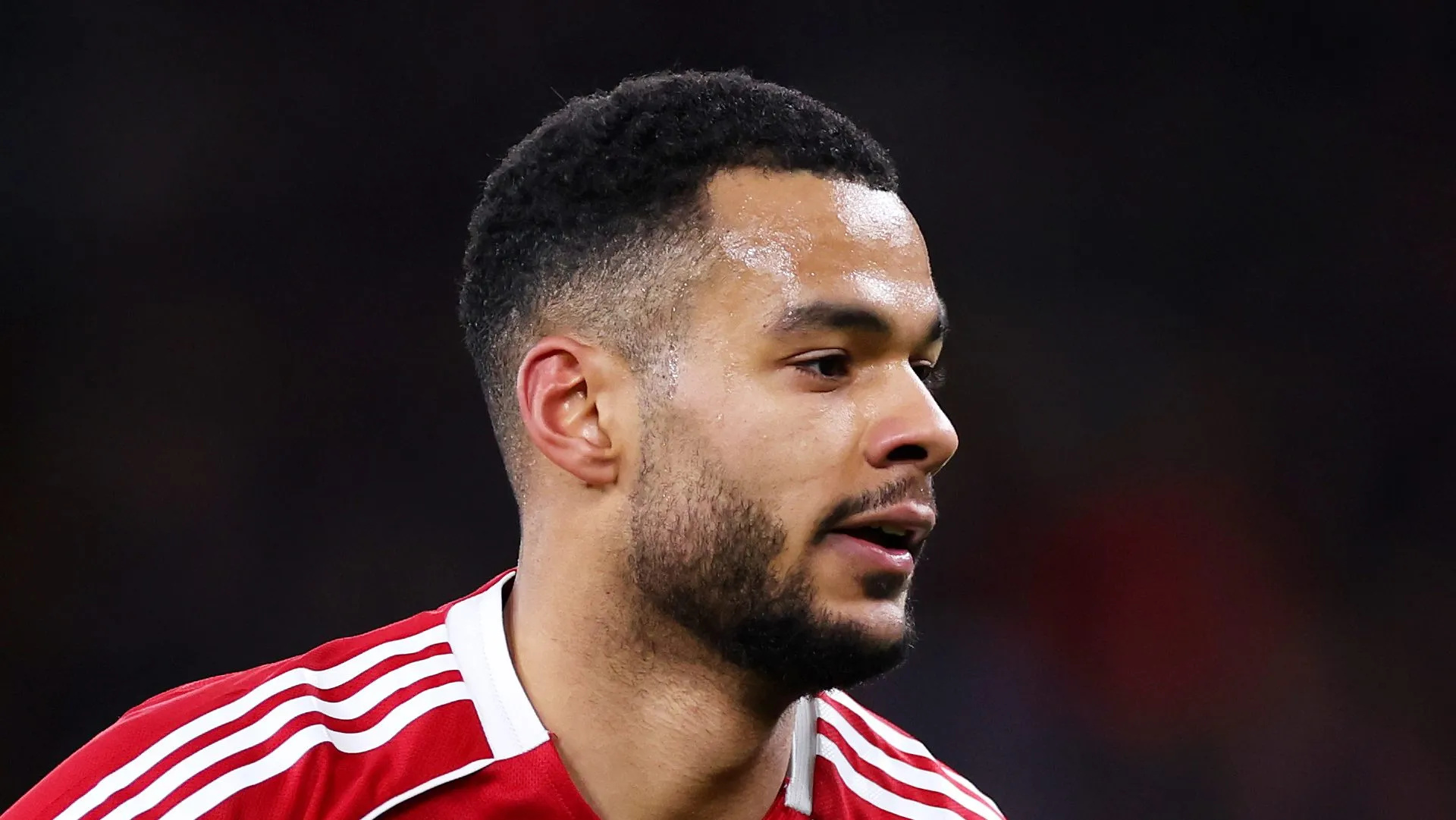 Cody Gakpo, do Liverpool, observa durante a partida da quarta rodada da Emirates FA Cup entre Liverpool e Brighton &amp; Hove Albion, em 14 de fevereiro de 2026, em Liverpool, Inglaterra. (Foto de Lewis Storey/Getty Images)