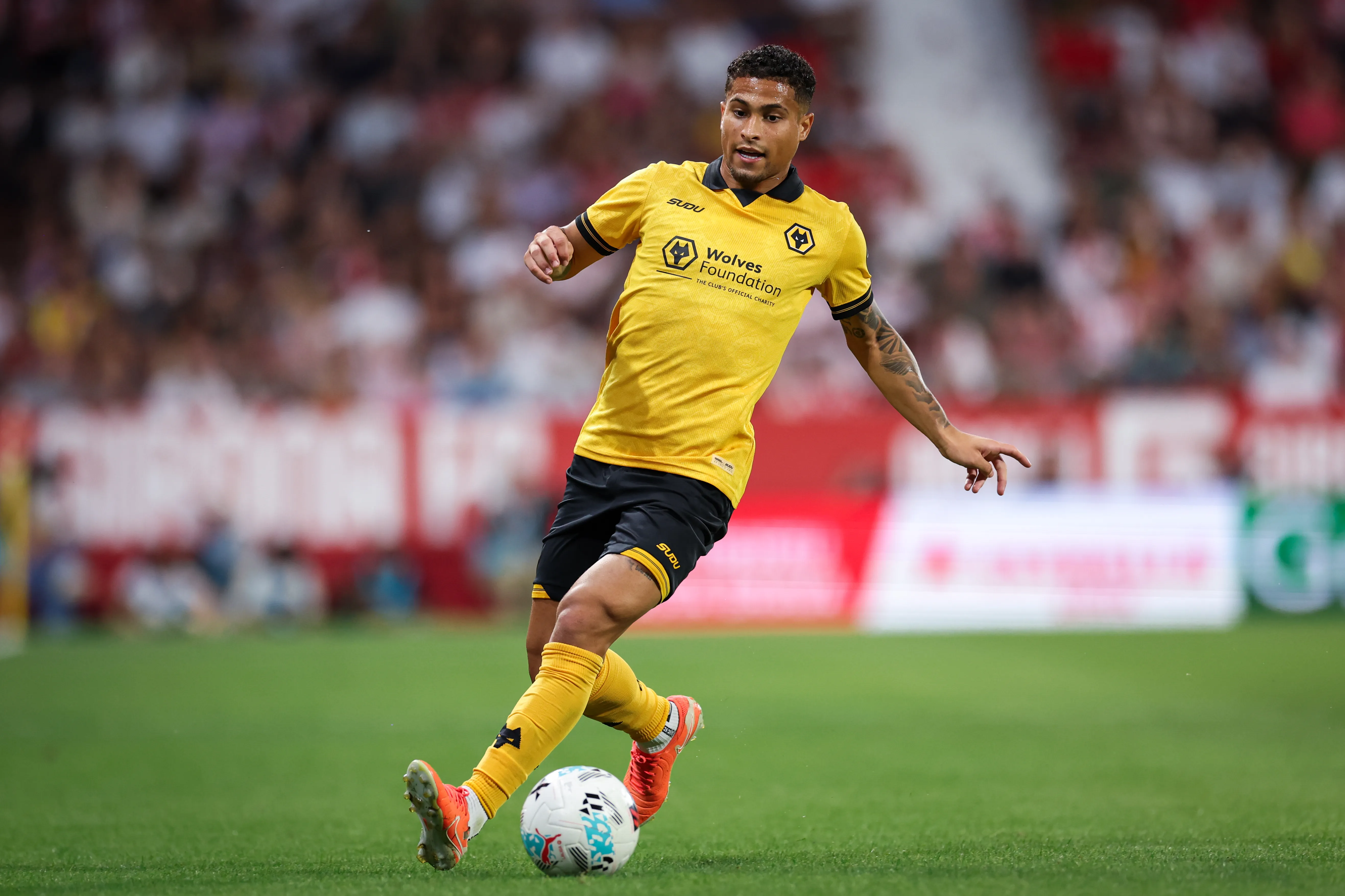 João Gomes deve deixar o Wolverhampton (Foto: Judit Cartiel/Getty Images)