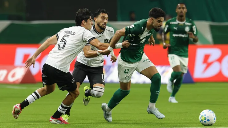 O atacante Flaco López em jogo Palmeiras x Botafogo, no Brasileirão (Foto: Cesar Greco/Palmeiras/by Canon)