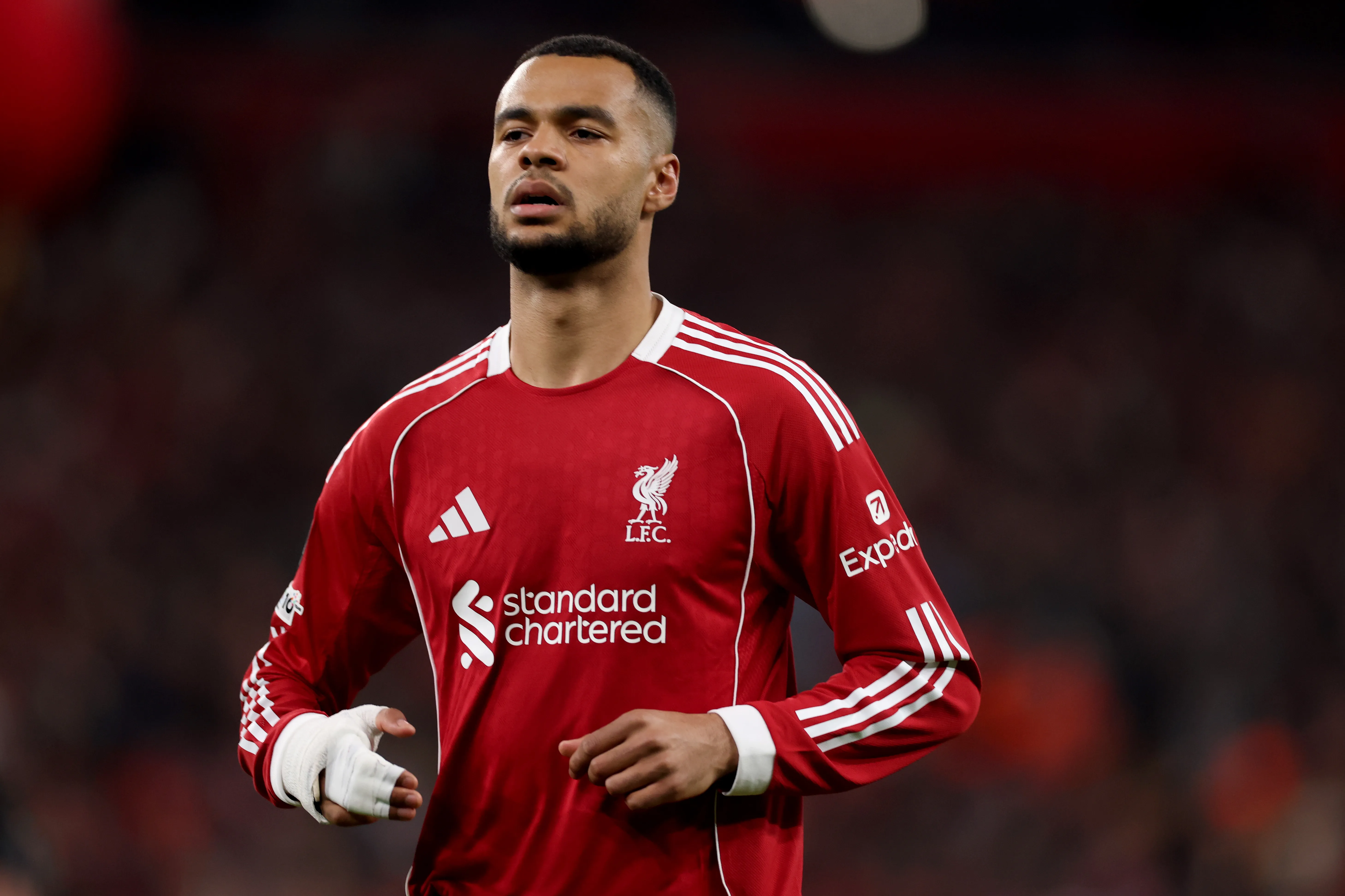 Gakpo pode fazer parte das negociações (Foto: Carl Recine/Getty Images)