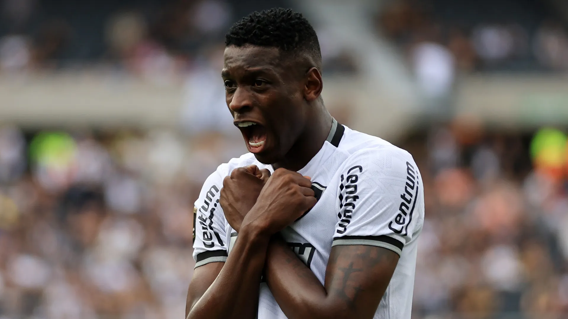 Luiz Henrique comemora pelo Botafogo