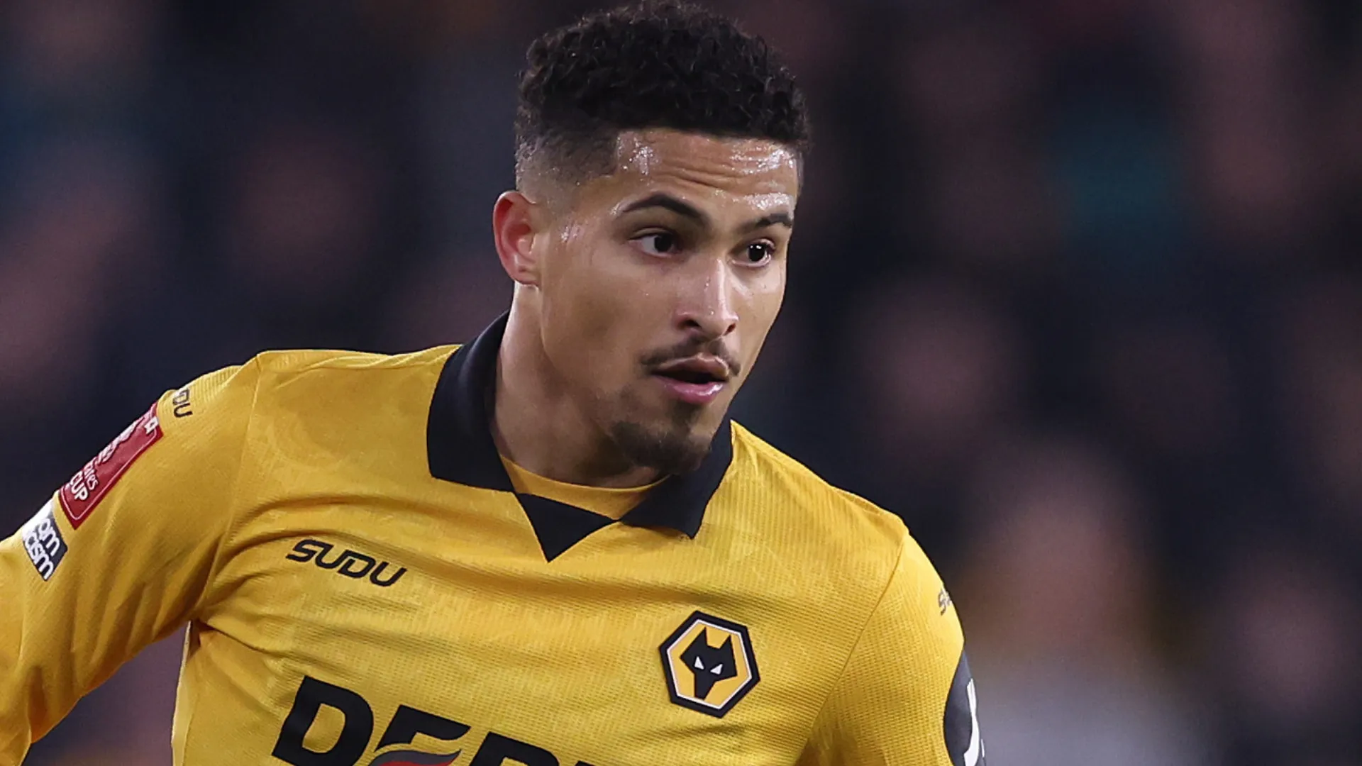 João Gomes aparece focado durante uma partida pelo Wolverhampton