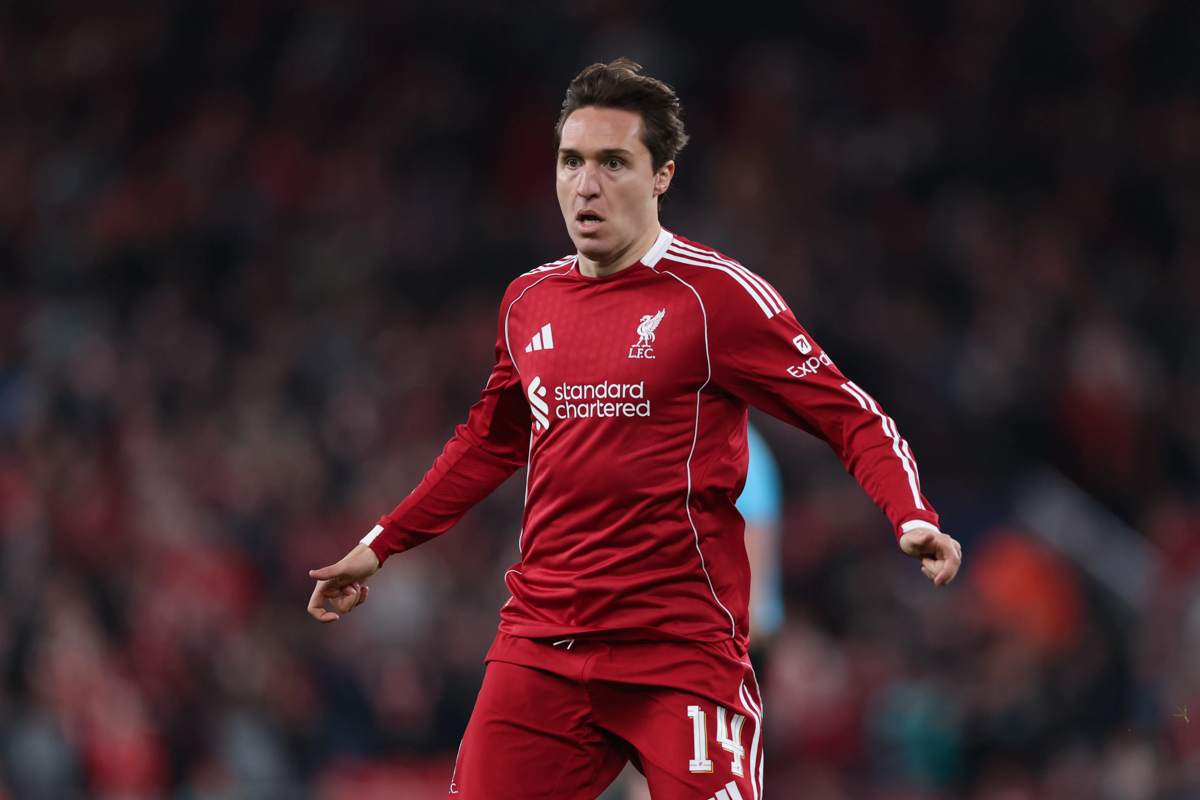 Chiesa em campo pelo Liverpool (Photo by Michael Regan/Getty Images)