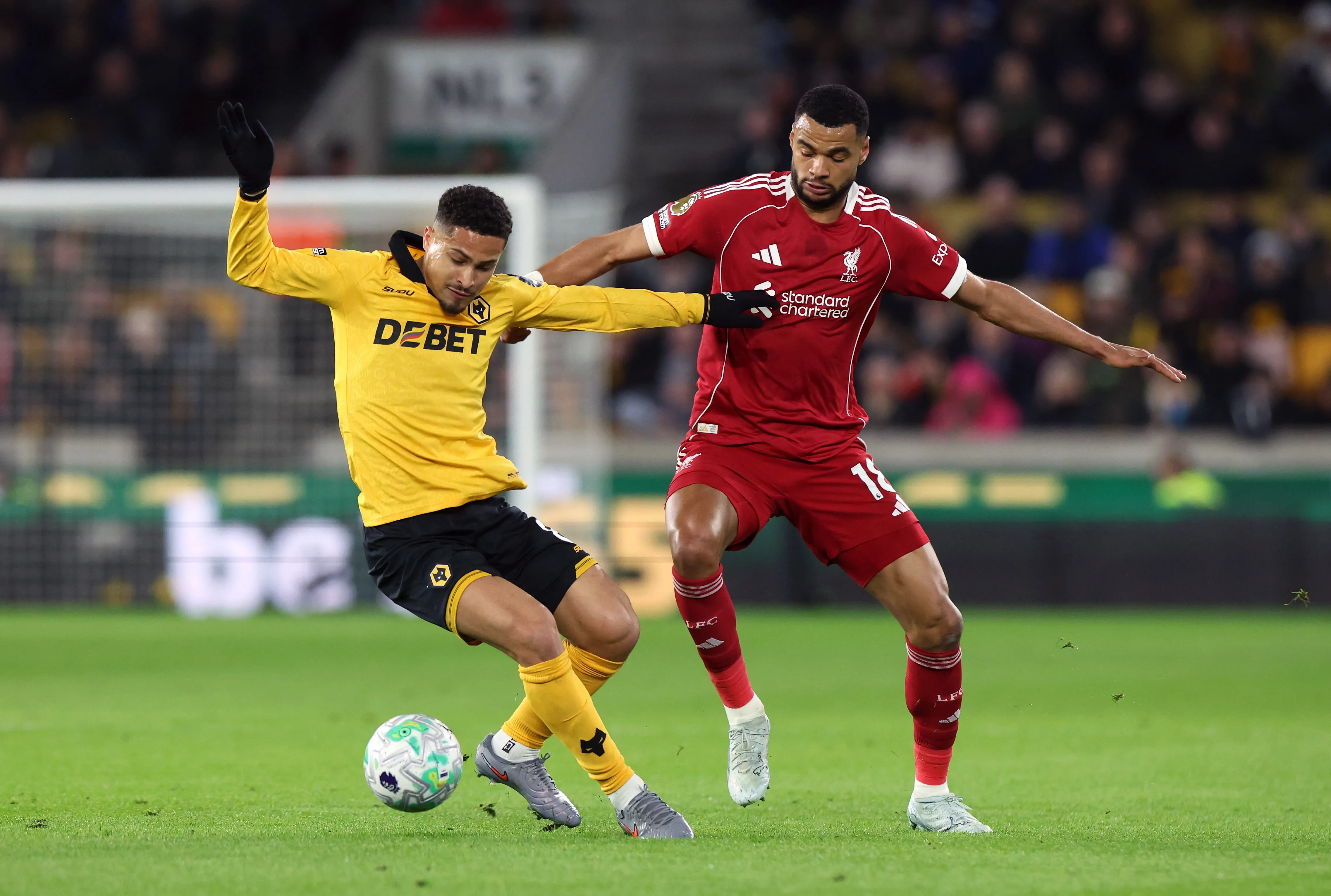 João Gomes deve ir para o Atlético de Madrid. Foto: David Rogers/Getty Images