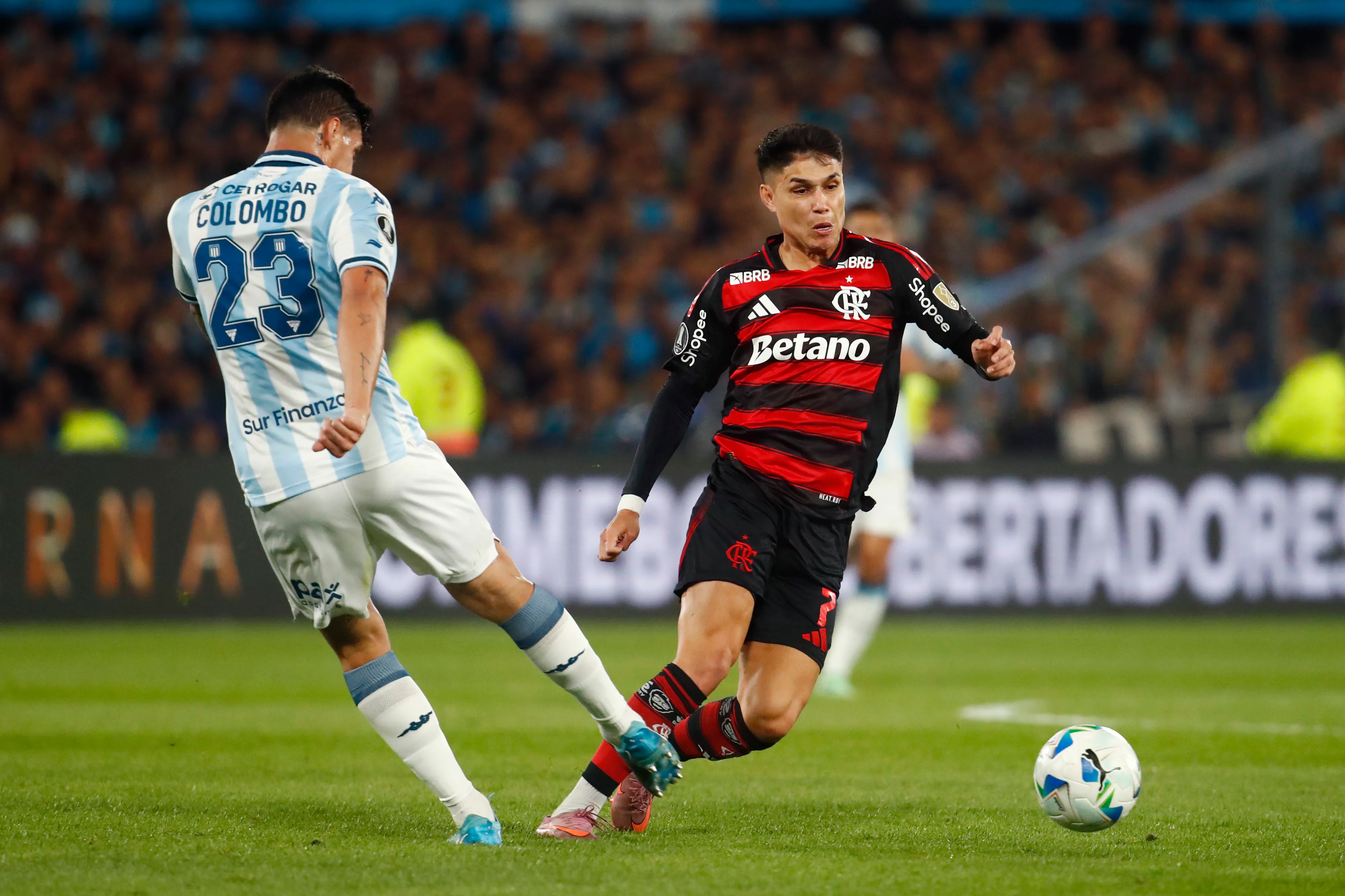 Luiz Araújo em ação pelo Flamengo. (Foto: Marcos Brindicci/Getty Images)