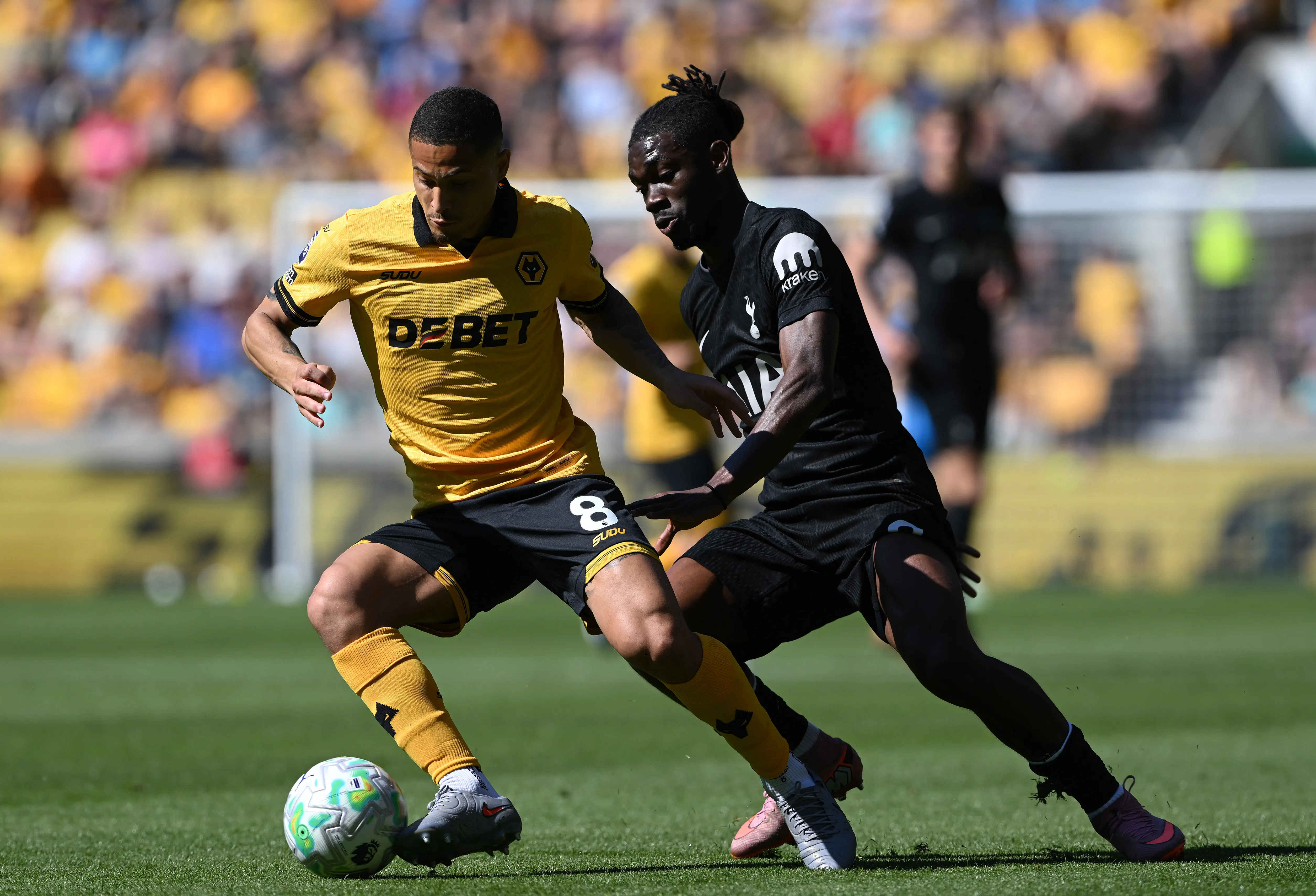 João Gomes em jogo do Wolves. Foto: Shaun Botterill/Getty Images