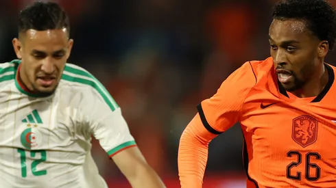 Holanda perde para Argélia em amistoso de preparação para a Copa do Mundo. (Foto: Dean Mouhtaropoulos/Getty Images)