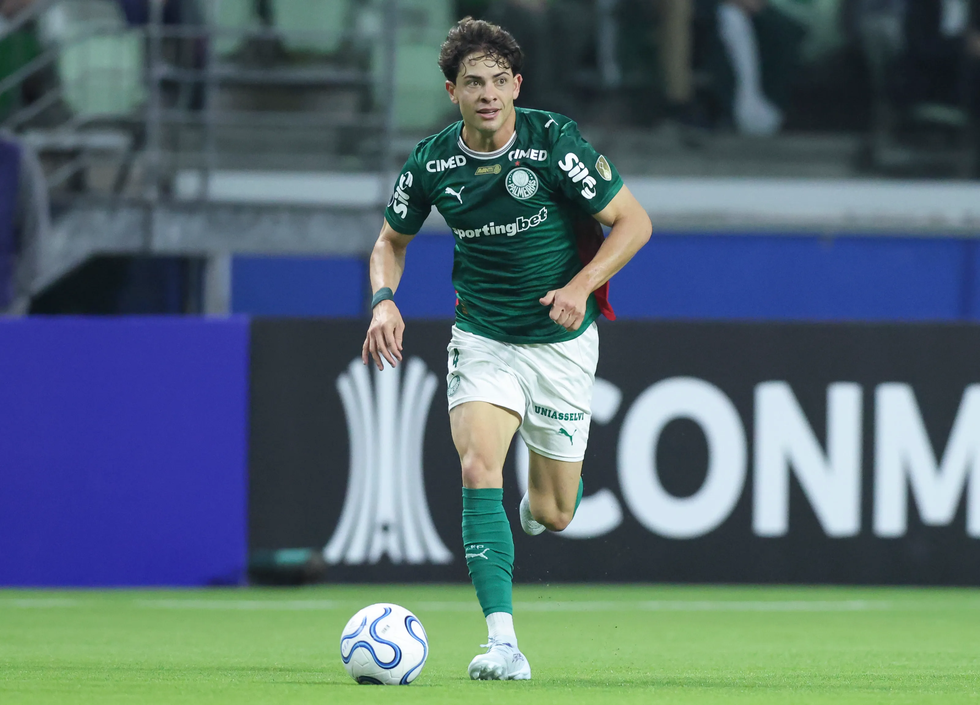 Giay em campo com as cores do Palmeiras (Foto: Alexandre Schneider/Getty Images)