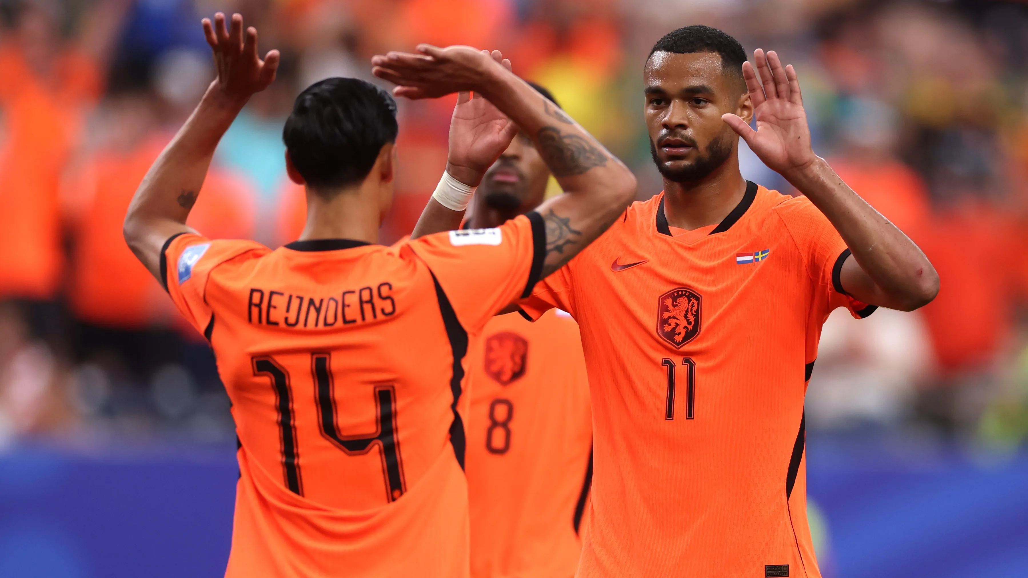 Cody Gakpo comemorando gol pela Holanda