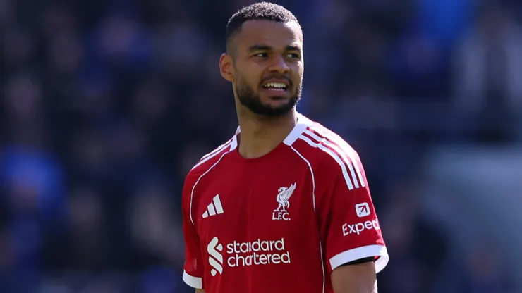 Gakpo entra na mira do Tottenham - Foto: Molly Darlington/Getty Images