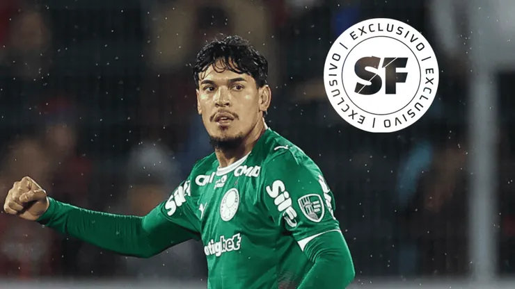 Gómez foi decisivo novamente - Foto: Cesar Greco/Palmeiras/by Canon.