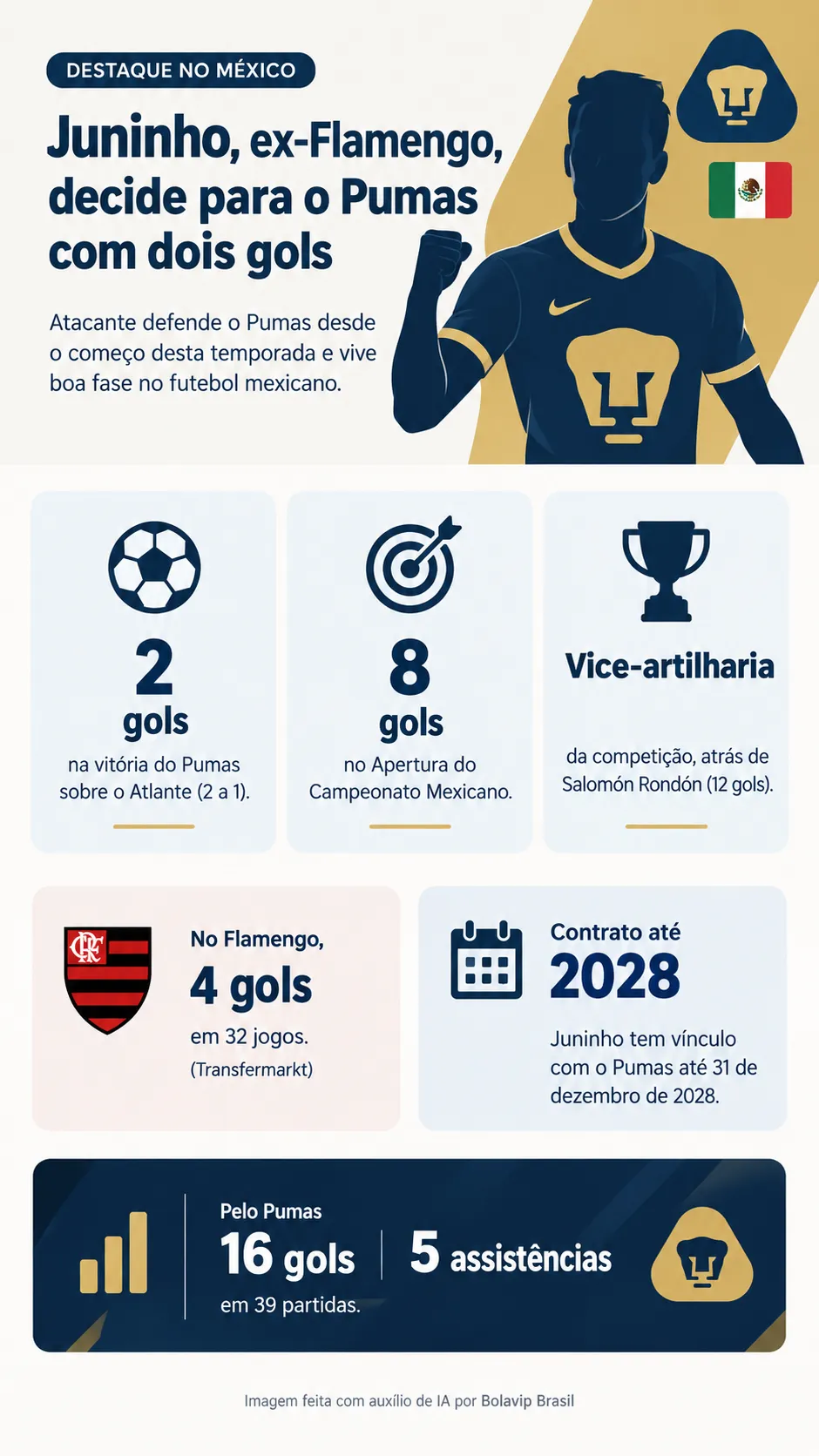Infográfico Juninho